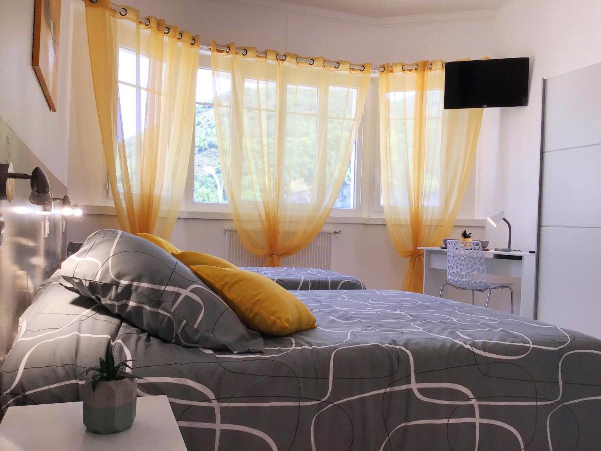Appartement Le Solea 100M2 Climatise Parking Proche Sanctuaires Лурд Екстер'єр фото